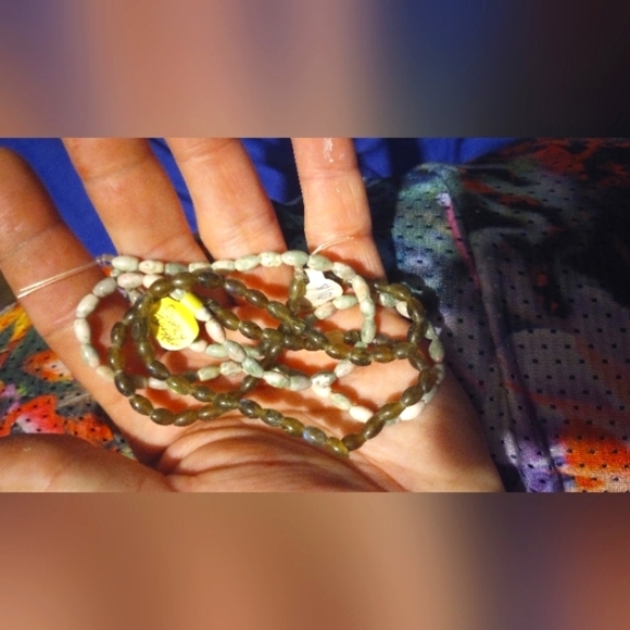 Jasper & Coral 🪸 - Picture 4 of 5